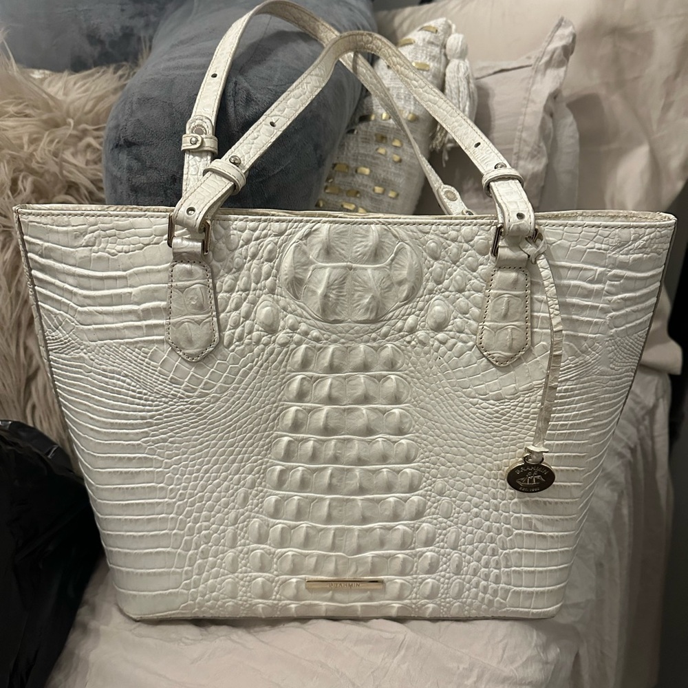 Brahmin Asher Purse